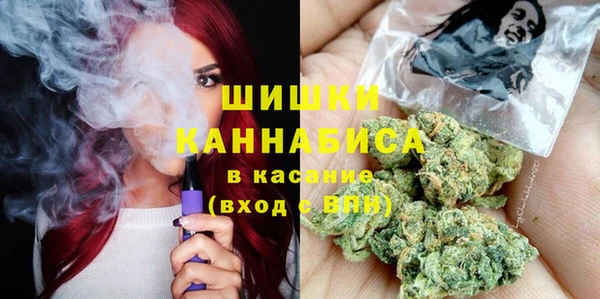 амф Горняк