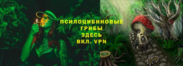 амф Горняк