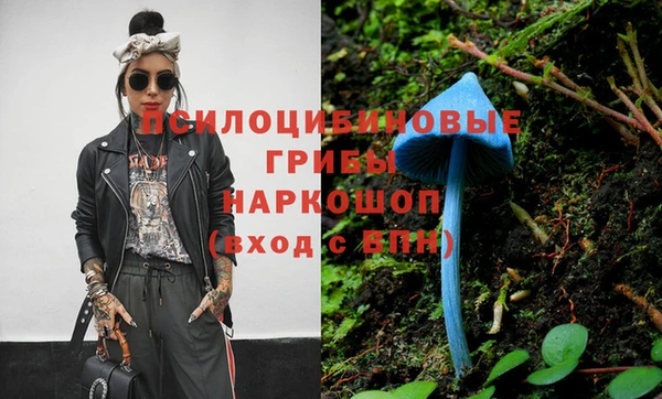 амф Горняк