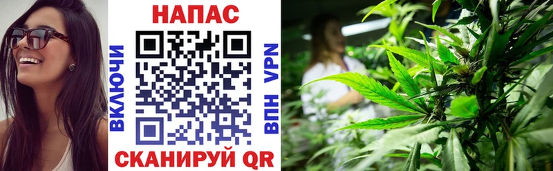 Бошки марихуана Amnesia хочу наркоту Мценск